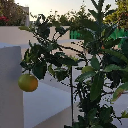 Maison De Village Au Calme - Alonia Holiday home Psinthos